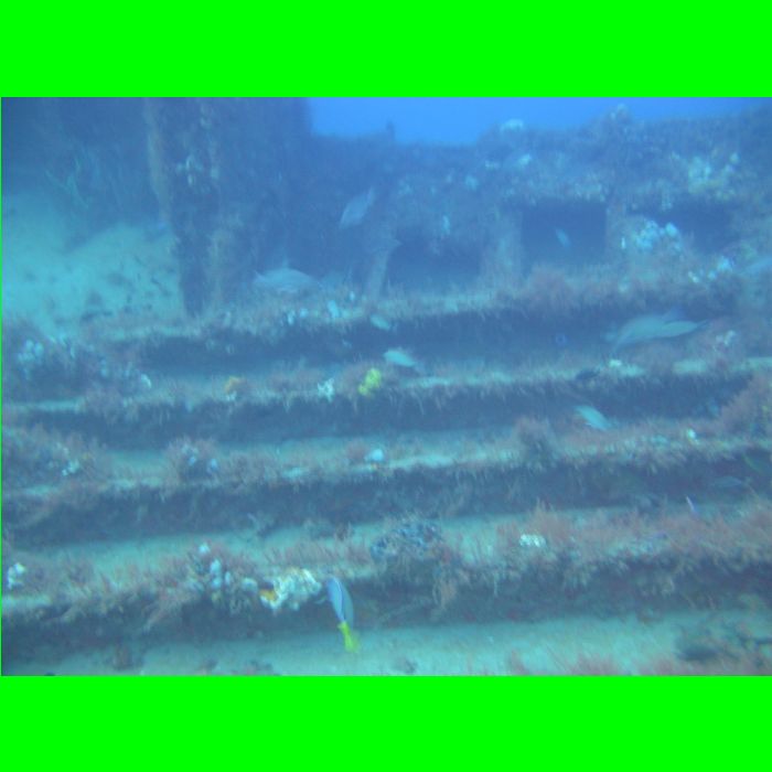 Dive WP Wrecks 25-Oct-09_410.JPG